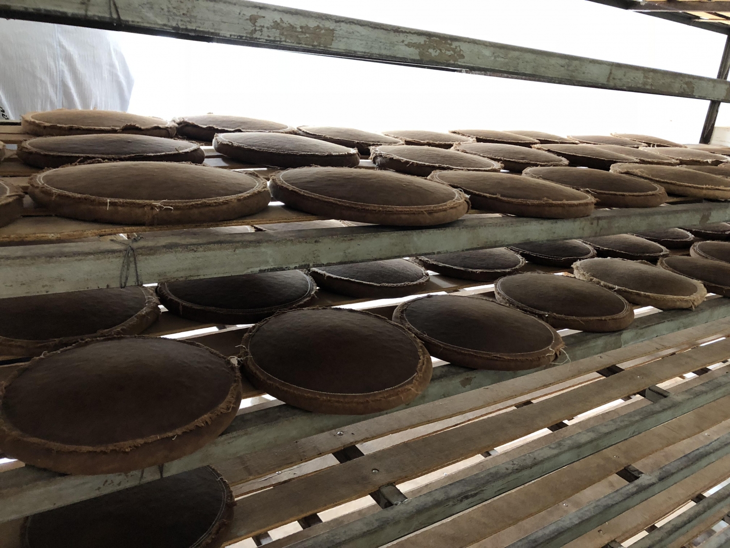 Shaped pu'er bing bing waiting to dry