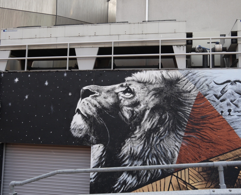 Lion image Street art on The Hubs - Sheffield Hallam Student Union