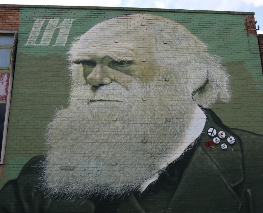 Rocket01 Charles Darwin mural
