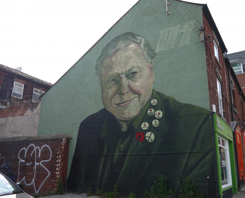Sir David Attenborough Mural at Brown Lane